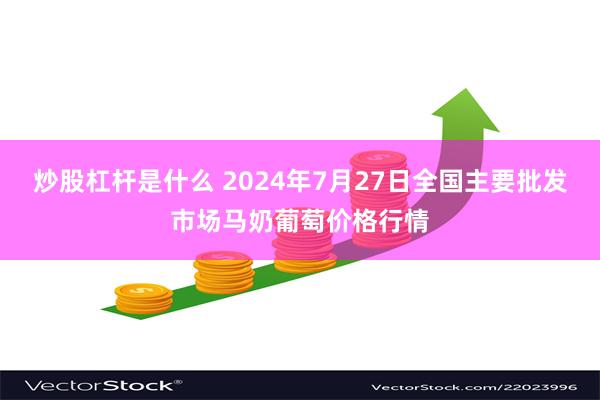 炒股杠杆是什么 2024年7月27日全国主要批发市场马奶葡萄价格行情
