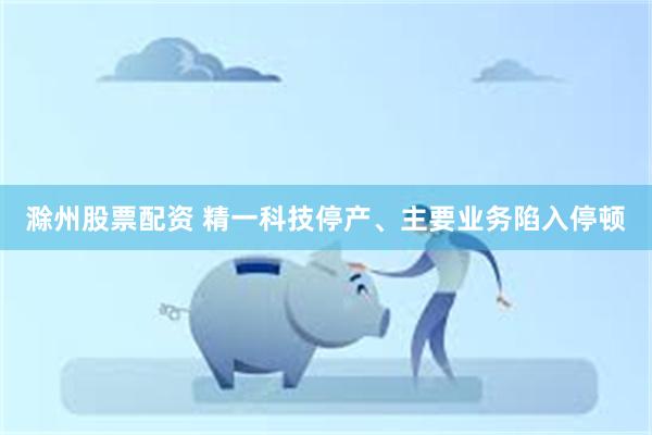 滁州股票配资 精一科技停产、主要业务陷入停顿
