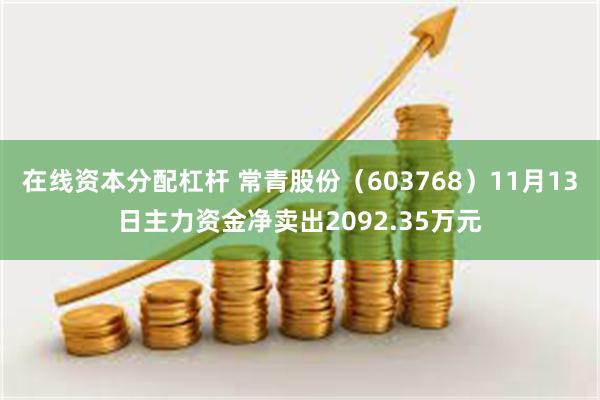 在线资本分配杠杆 常青股份（603768）11月13日主力资金净卖出2092.35万元