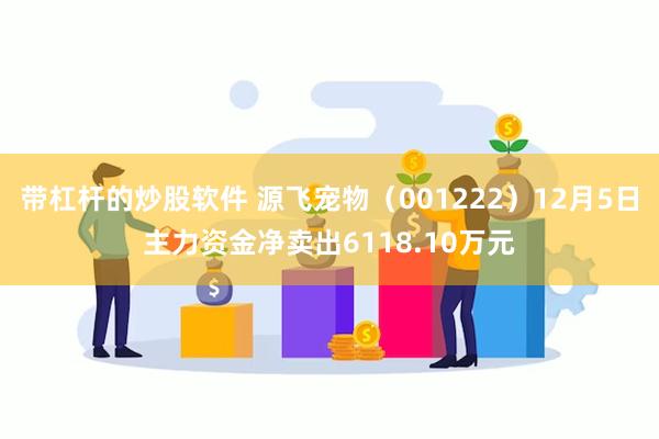 带杠杆的炒股软件 源飞宠物（001222）12月5日主力资金净卖出6118.10万元