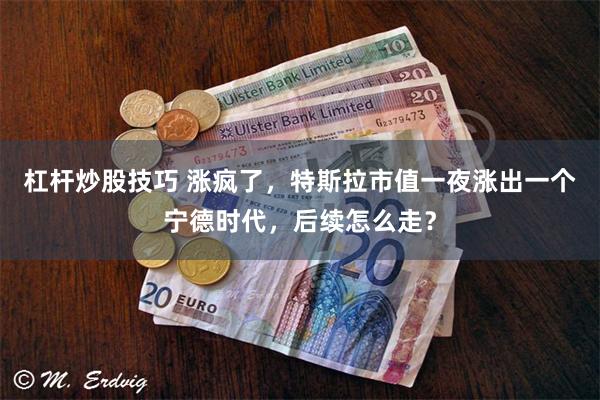 杠杆炒股技巧 涨疯了，特斯拉市值一夜涨出一个宁德时代，后续怎么走？