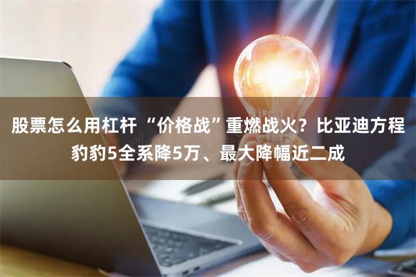 股票怎么用杠杆 “价格战”重燃战火？比亚迪方程豹豹5全系降5万、最大降幅近二成