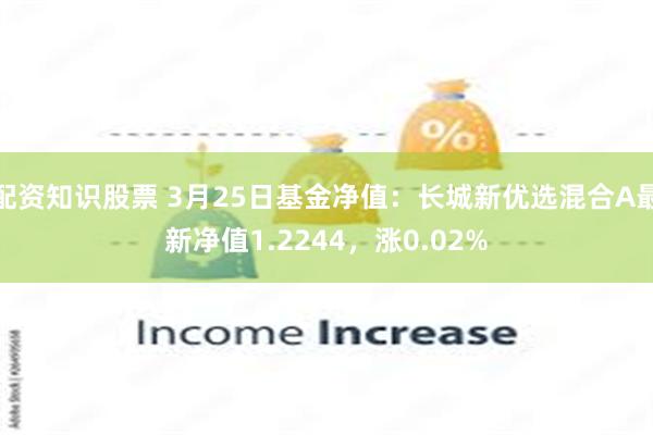 配资知识股票 3月25日基金净值：长城新优选混合A最新净值1.2244，涨0.02%