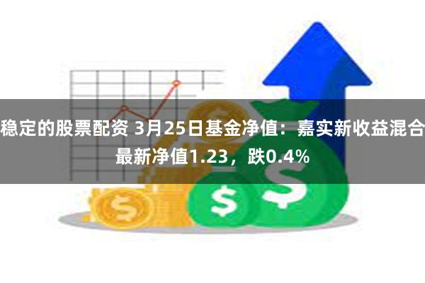 稳定的股票配资 3月25日基金净值：嘉实新收益混合最新净值1.23，跌0.4%