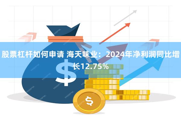 股票杠杆如何申请 海天味业：2024年净利润同比增长12.75%