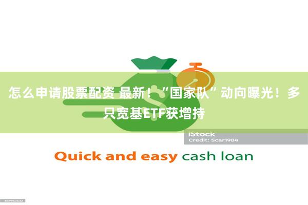 怎么申请股票配资 最新！“国家队”动向曝光！多只宽基ETF获增持