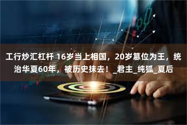工行炒汇杠杆 16岁当上相国，20岁篡位为王，统治华夏60年，被历史抹去！_君主_纯狐_夏后