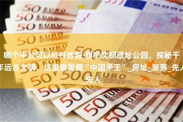 哪个平台可以杠杆炒股 西宁沈那遗址公园，探秘千年远古文明，这里曾发掘“中国矛王”_房址_聚落_先人